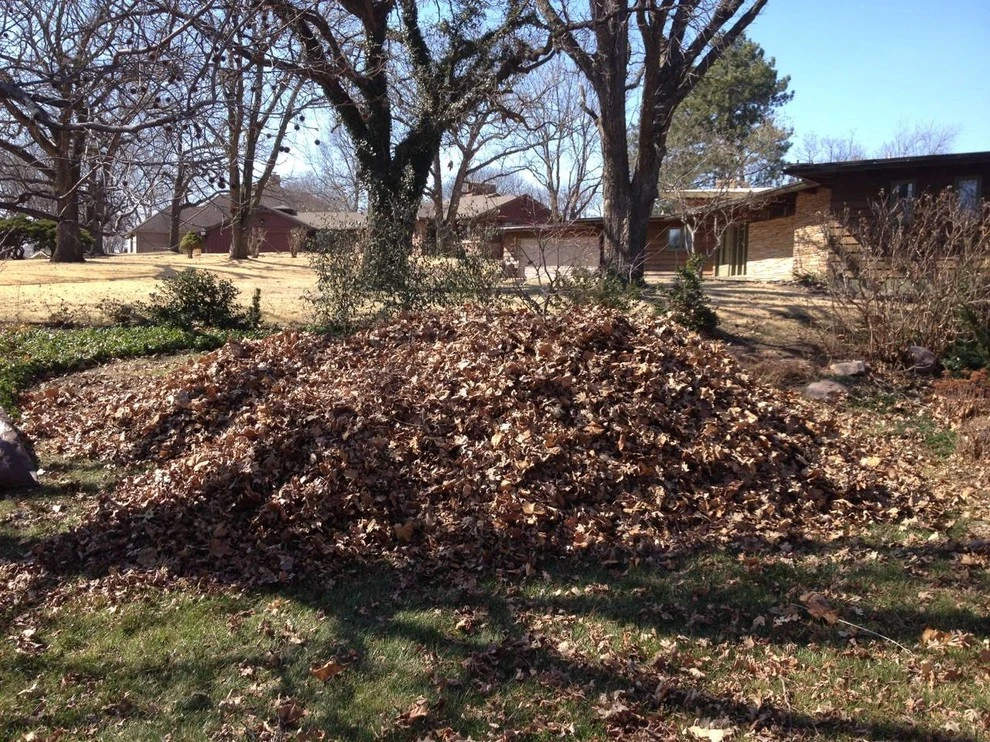 American Landscape & Lawn Care - Photo 3