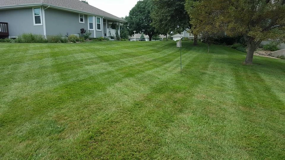 American Landscape & Lawn Care - Photo 7