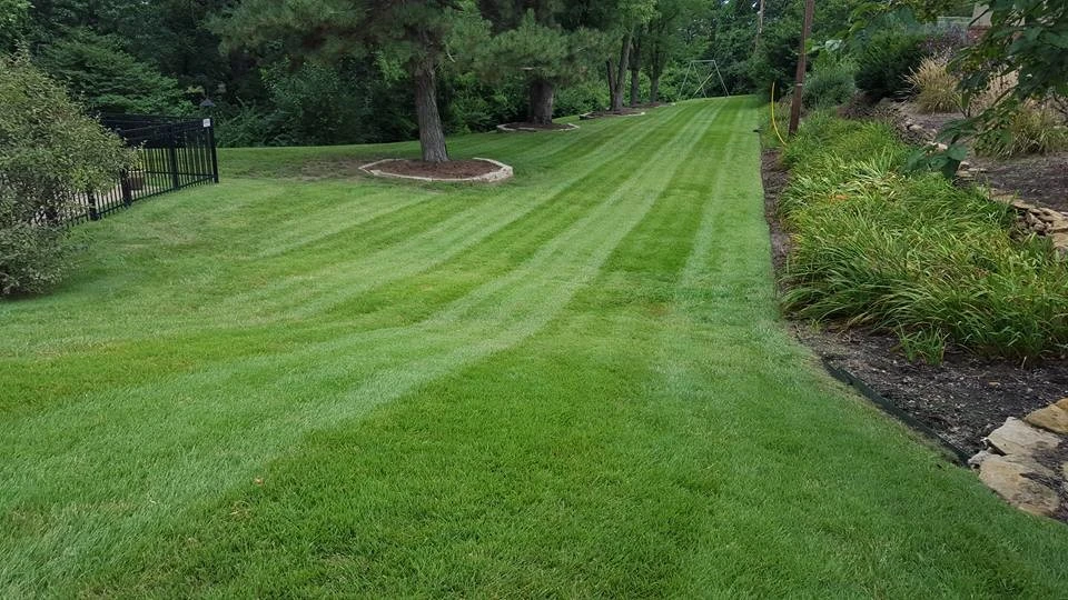 American Landscape & Lawn Care - Photo 5