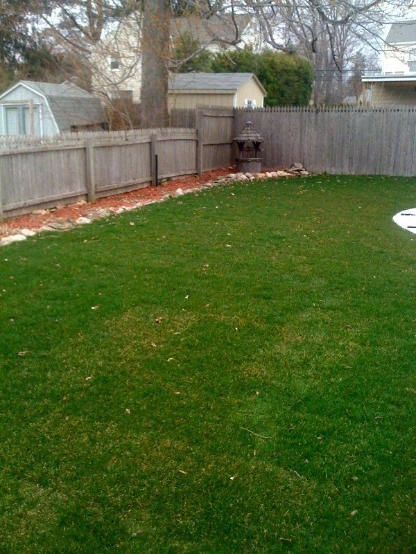 Home Improvement by American Landscape, LLC - Photo 14