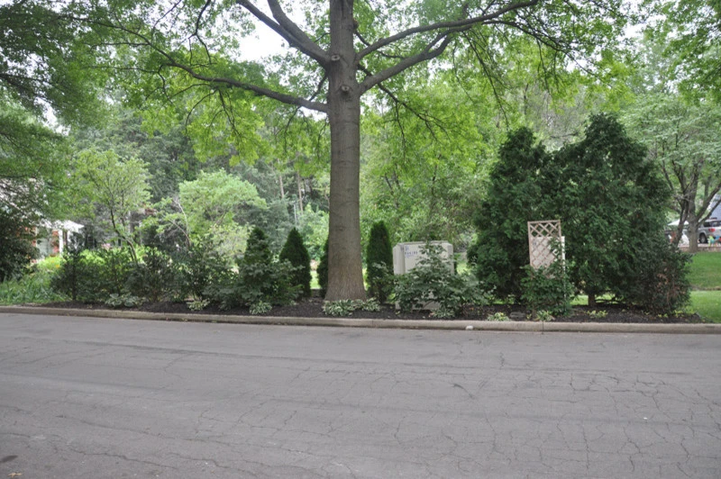 American Lawn Management - Photo 3