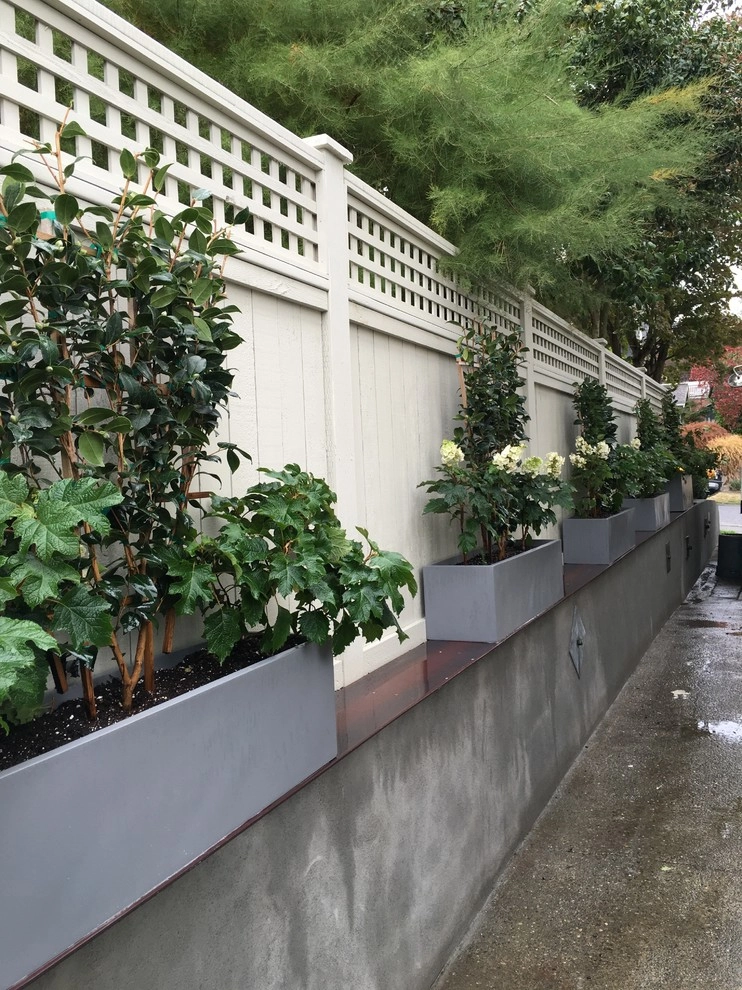 Recent Projects - Mt Baker Residence by Folia Horticultural + Design - Photo 95