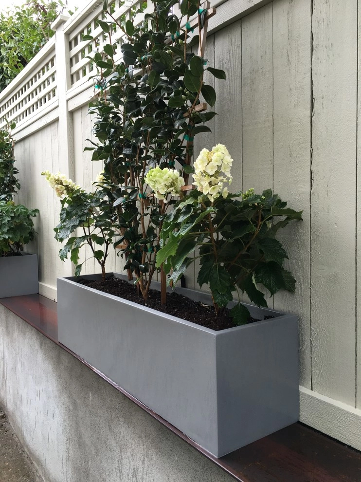 Recent Projects - Mt Baker Residence by Folia Horticultural + Design - Photo 63