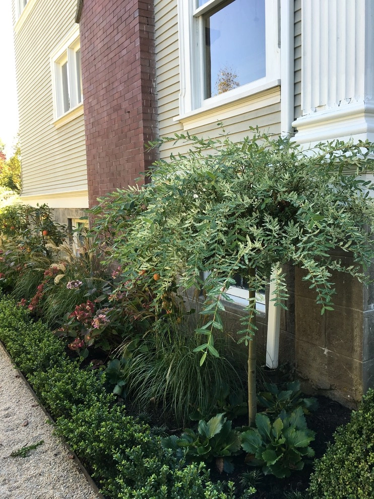 Recent Projects - Mt Baker Residence by Folia Horticultural + Design - Photo 23
