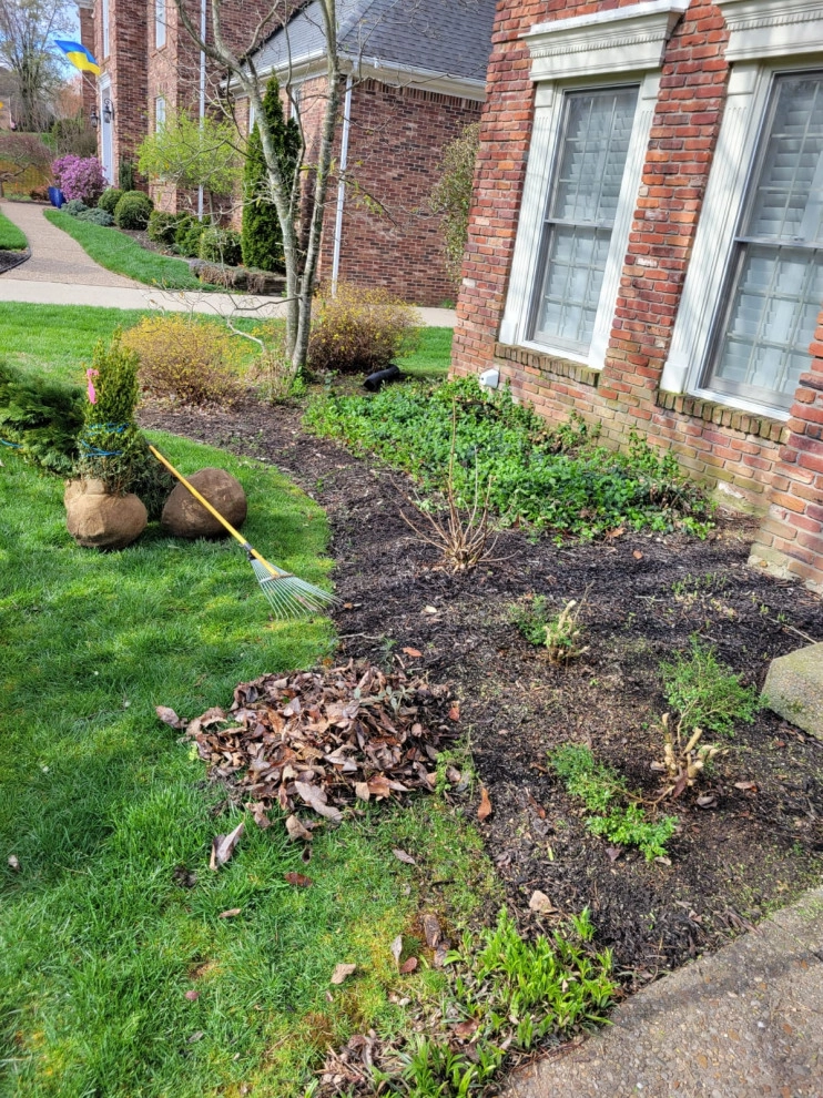 Alberto Alavez Professional Lawn Services LLC 13 by Alberto Alavez Professional Lawn Services LLC - Photo 4