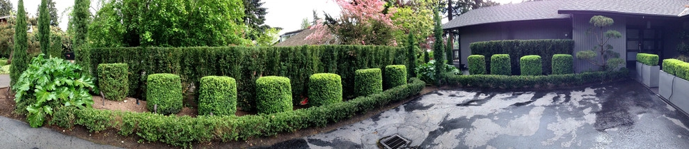 Recent Projects - Bellevue Residence - Curb Appeal by Folia Horticultural + Design - Photo 13