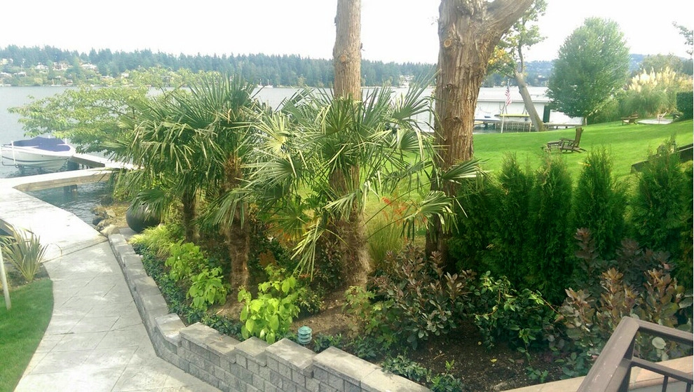 Recent Projects - Mercer Island Waterfront Residence by Folia Horticultural + Design - Photo 10