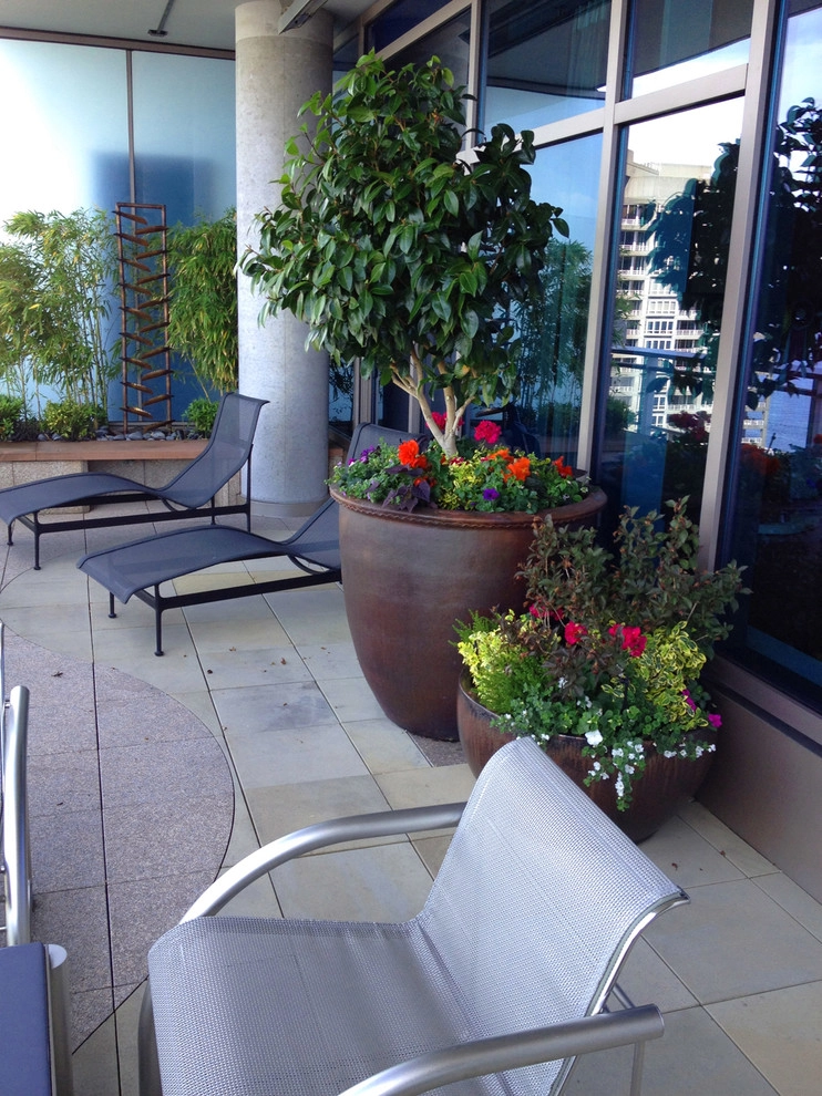 Recent Projects - Seattle Penthouse Deck by Folia Horticultural + Design - Photo 9