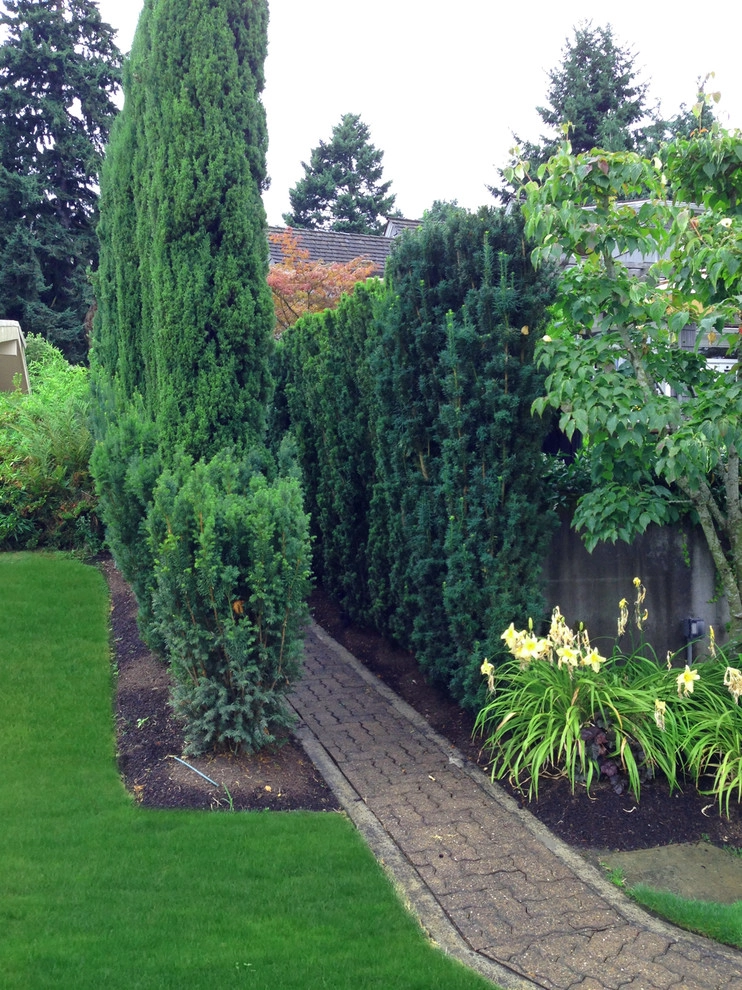 Recent Projects - Mercer Island Residence by Folia Horticultural + Design - Photo 17