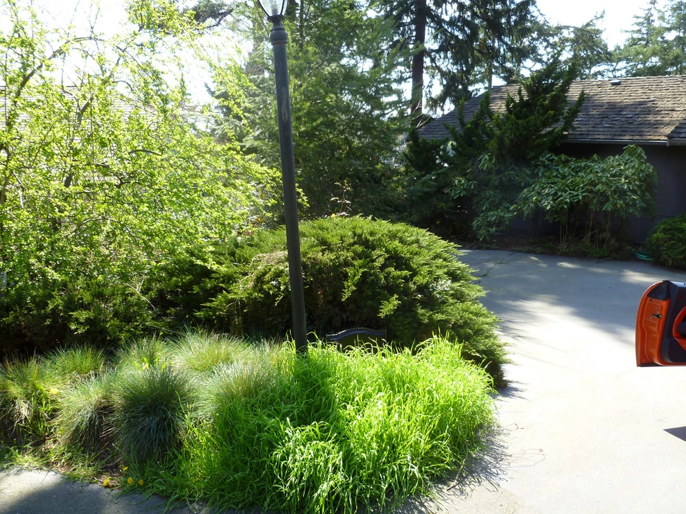 Recent Projects - Bellevue Residence - Curb Appeal by Folia Horticultural + Design - Photo 6