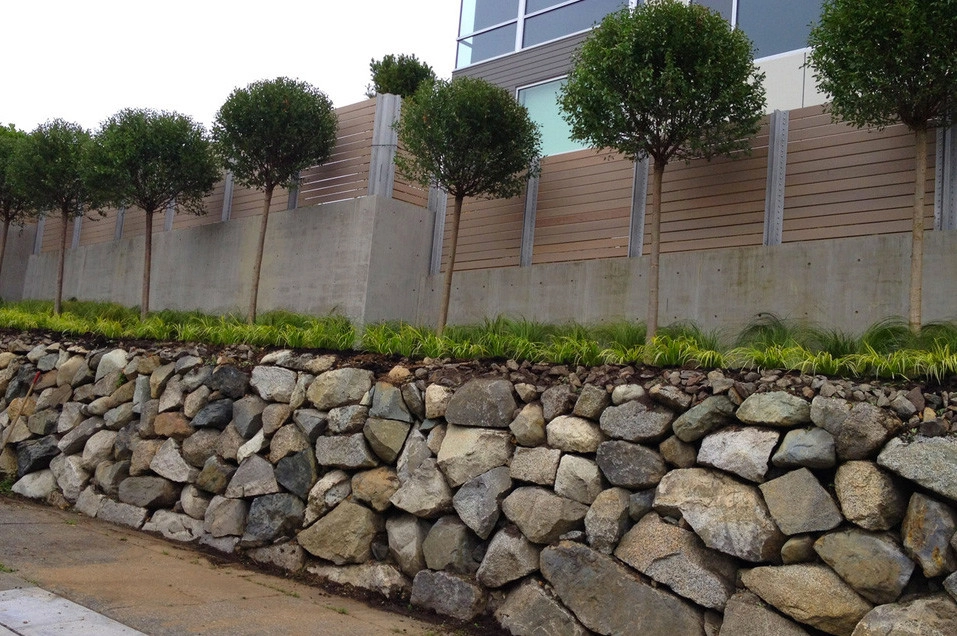 Recent Projects - Contemporary Seattle Residence by Folia Horticultural + Design - Photo 3
