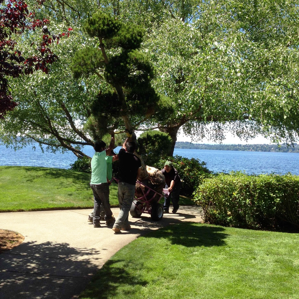 Recent Projects - Kirkland Waterfront Residence by Folia Horticultural + Design - Photo 7