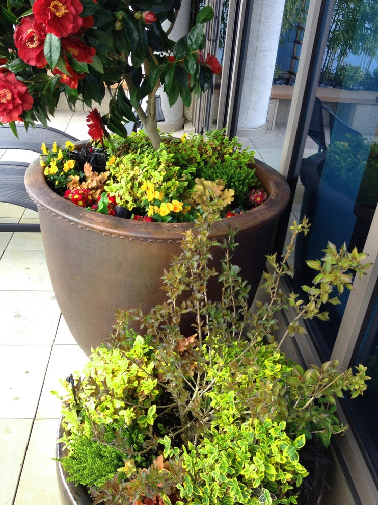Recent Projects - Seattle Penthouse Deck by Folia Horticultural + Design - Photo 6