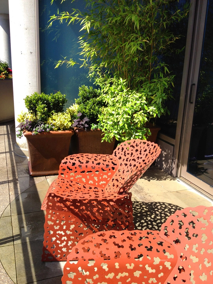 Recent Projects - Seattle Penthouse Deck by Folia Horticultural + Design - Photo 3