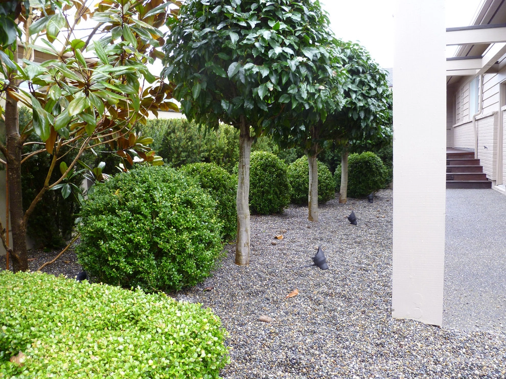 Recent Projects - West Seattle Projects by Folia Horticultural + Design - Photo 4