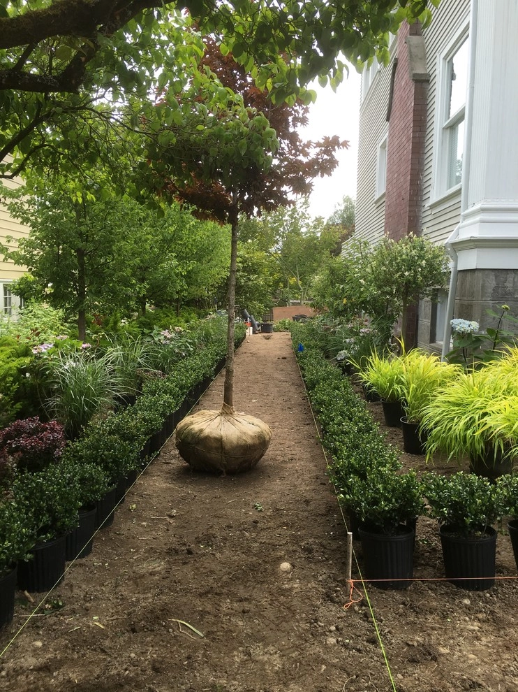 Recent Projects - Mt Baker Residence by Folia Horticultural + Design - Photo 44