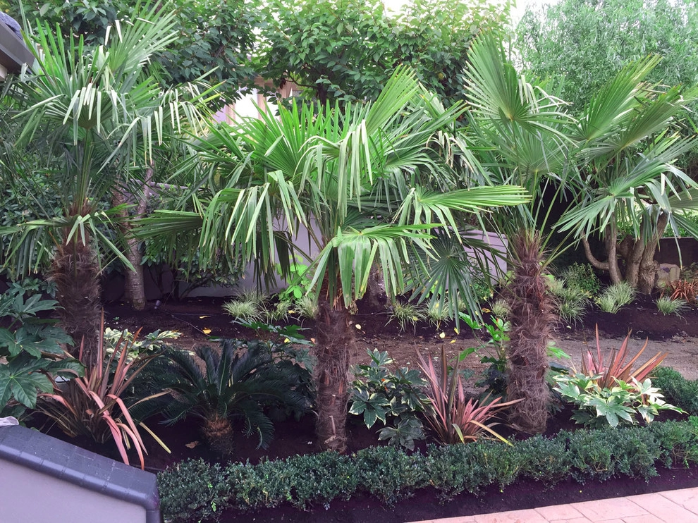 Recent Projects - Mercer Island Waterfront Residence by Folia Horticultural + Design - Photo 26
