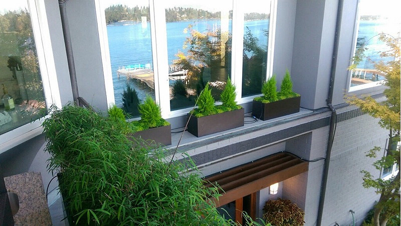 Recent Projects - Mercer Island Waterfront Residence by Folia Horticultural + Design - Photo 22
