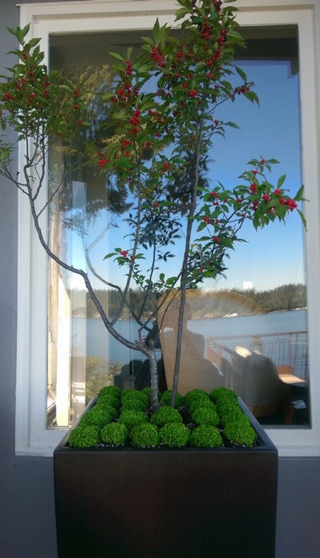 Recent Projects - Mercer Island Waterfront Residence by Folia Horticultural + Design - Photo 9