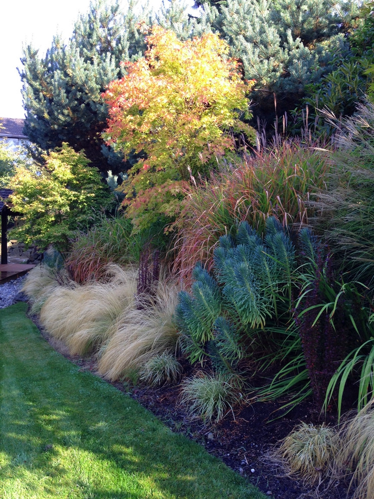 Recent Projects - Bellevue Residence by Folia Horticultural + Design - Photo 6