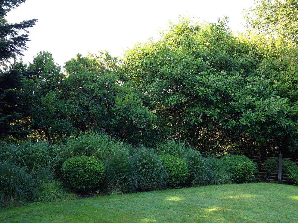 Recent Projects - Bellevue Residence by Folia Horticultural + Design - Photo 4