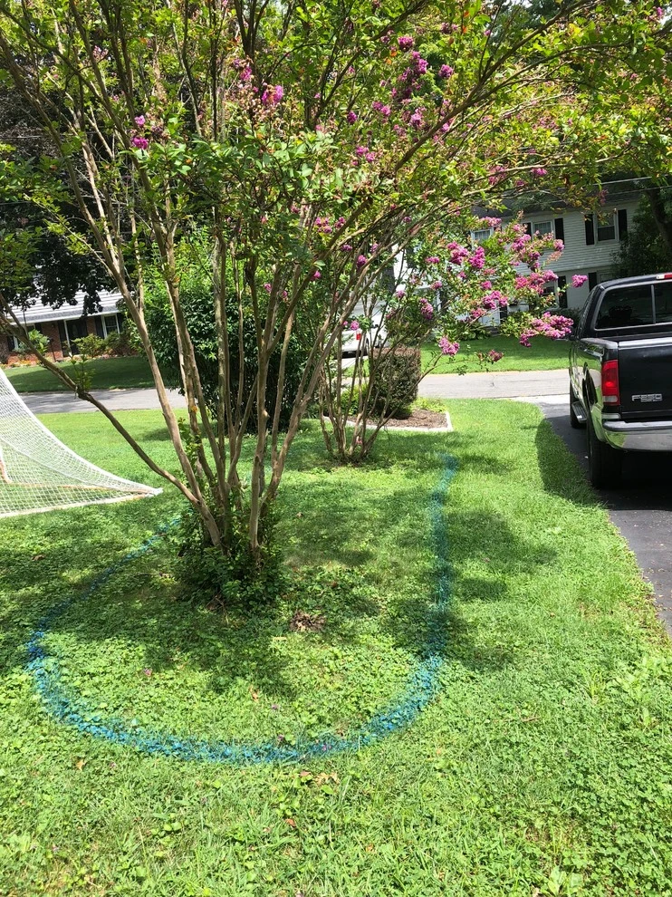Privacy Landscape Planting by Arborvine Landscaping, LLC - Photo 2