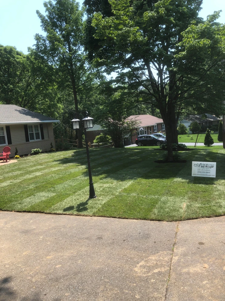 Front yard sod Installation by Arborvine Landscaping, LLC - Photo 2