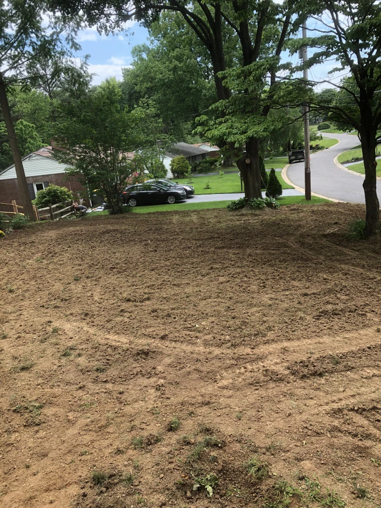 Front yard sod Installation by Arborvine Landscaping, LLC - Photo 3