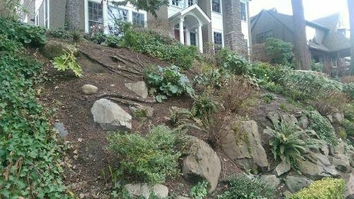 Recent Projects - Washington Park Project by Folia Horticultural + Design - Photo 4