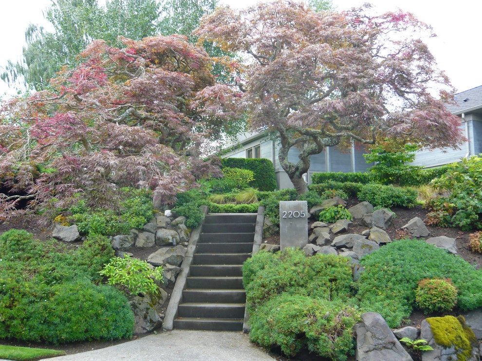 Recent Projects - West Seattle Residence by Folia Horticultural + Design - Photo 2