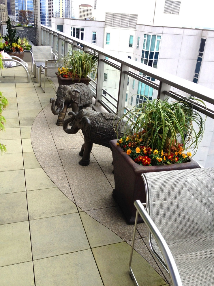 Recent Projects - Seattle Penthouse Deck by Folia Horticultural + Design - Photo 5
