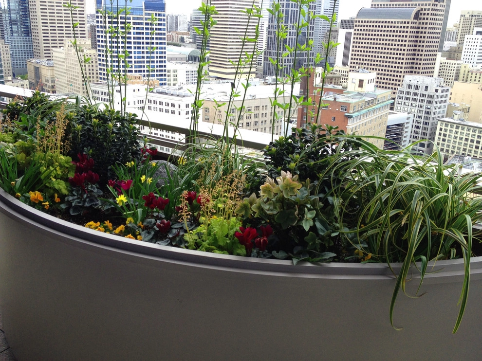 Recent Projects - Seattle Penthouse Deck by Folia Horticultural + Design - Photo 12