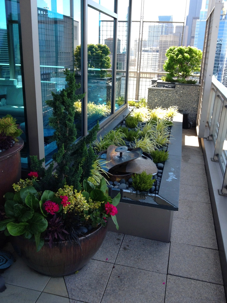Recent Projects - Seattle Penthouse Deck by Folia Horticultural + Design - Photo 8
