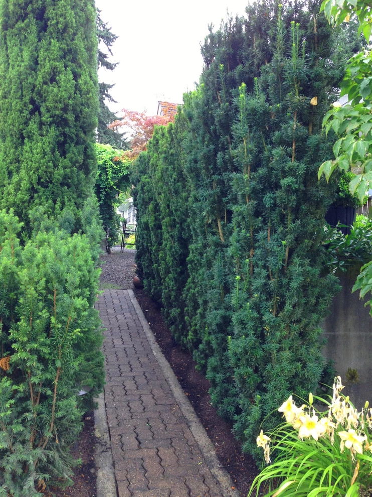 Recent Projects - Mercer Island Residence by Folia Horticultural + Design - Photo 5