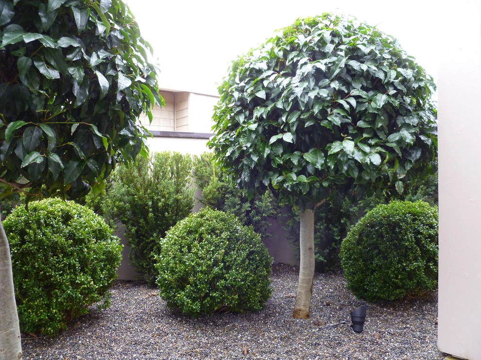 Folia Horticultural + Design - Photo 5