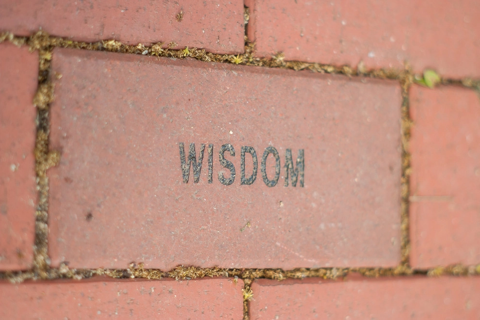 Welcome Garden by A Blade Of Grass - Photo 24