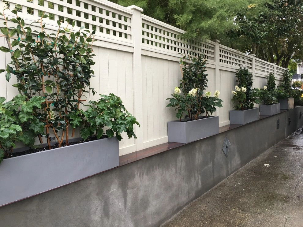 Recent Projects - Mt Baker Residence by Folia Horticultural + Design - Photo 32