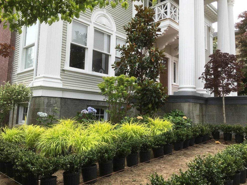 Recent Projects - Mt Baker Residence by Folia Horticultural + Design - Photo 7