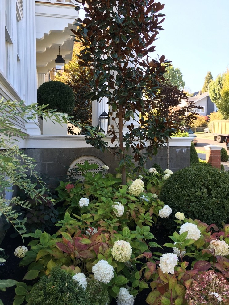 Recent Projects - Mt Baker Residence by Folia Horticultural + Design - Photo 89