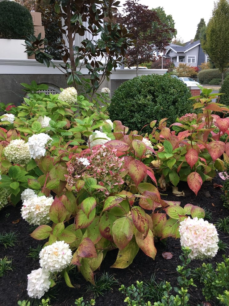 Recent Projects - Mt Baker Residence by Folia Horticultural + Design - Photo 61