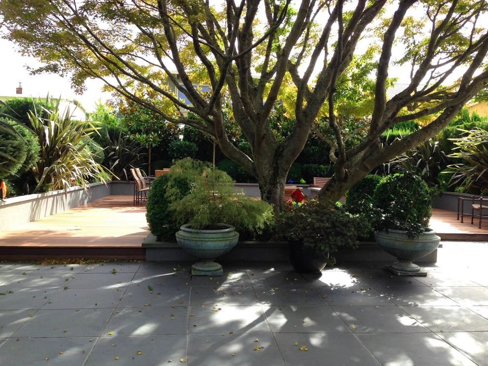 Recent Projects - Edmonds Residence by Folia Horticultural + Design - Photo 8