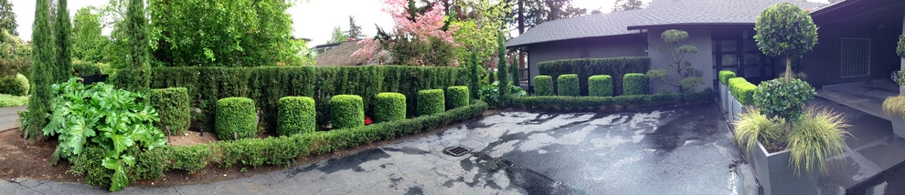 Recent Projects - Bellevue Residence - Curb Appeal by Folia Horticultural + Design - Photo 8