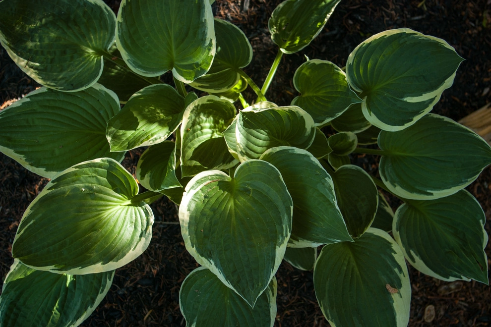 Welcome Garden by A Blade Of Grass - Photo 23