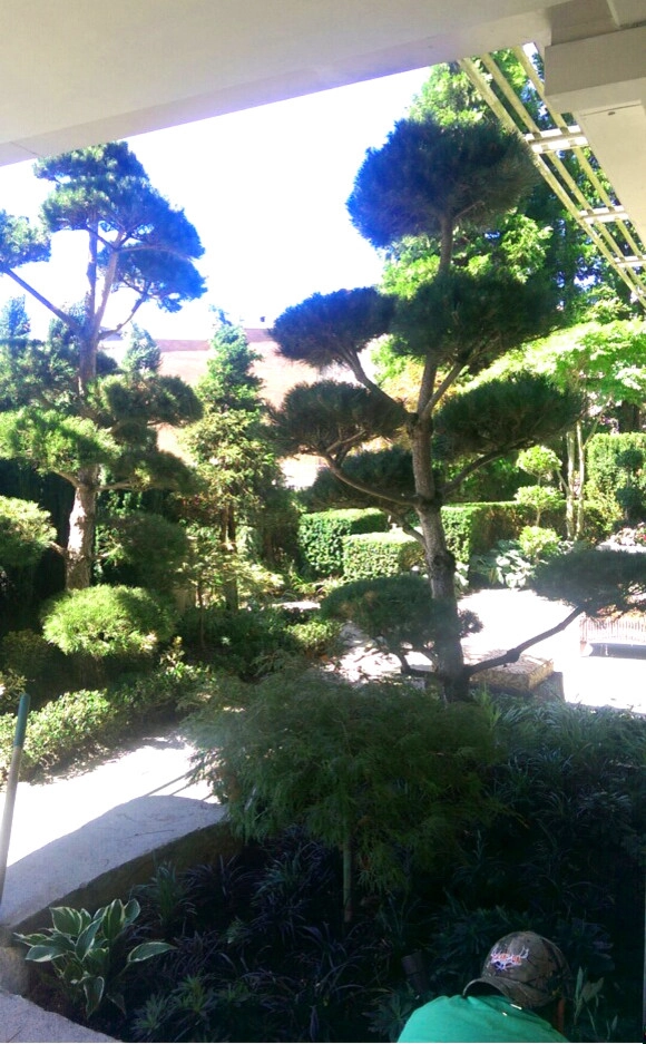 Recent Projects - Kirkland Waterfront Residence by Folia Horticultural + Design - Photo 11