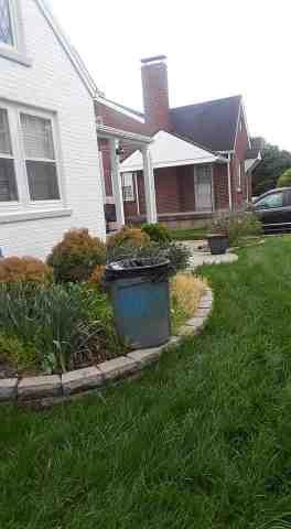 Alberto Alavez Professional Lawn Services LLC 5 by Alberto Alavez Professional Lawn Services LLC - Photo 25