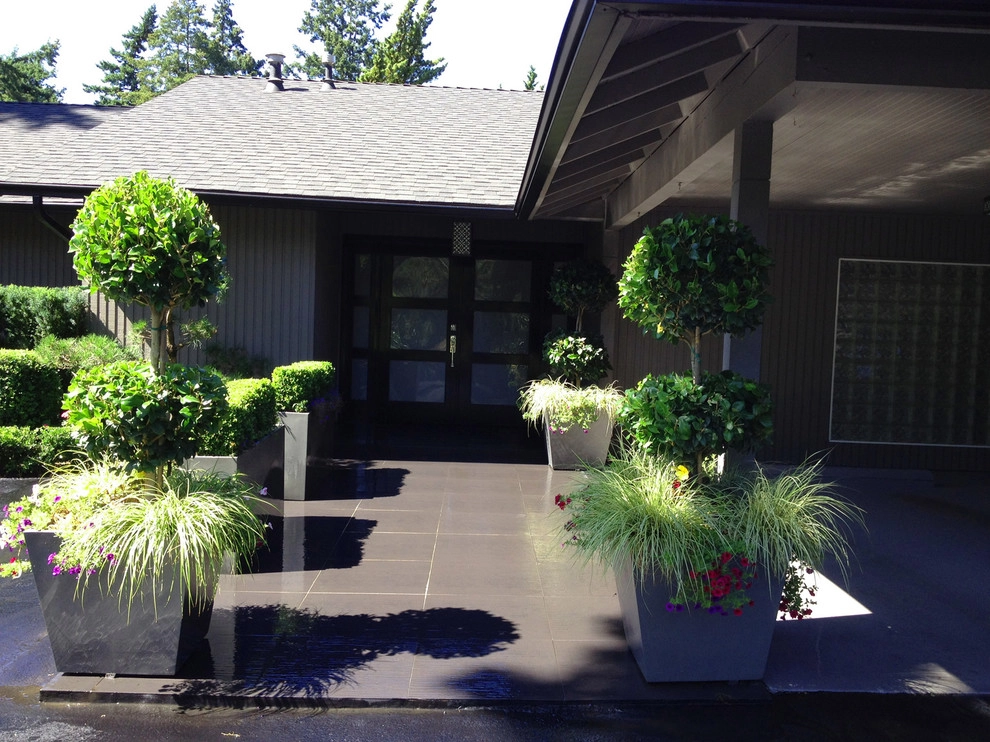 Recent Projects - Bellevue Residence - Curb Appeal by Folia Horticultural + Design - Photo 2
