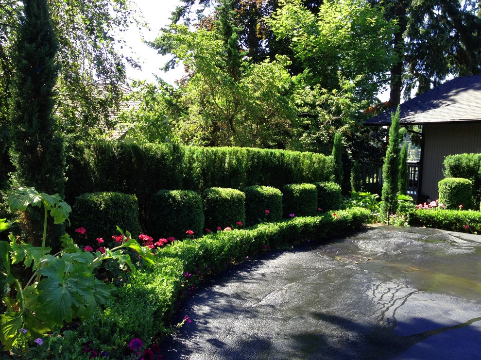 Recent Projects - Bellevue Residence - Curb Appeal by Folia Horticultural + Design - Photo 12