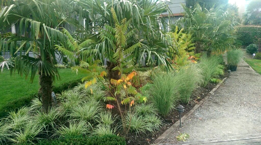 Recent Projects - Mercer Island Waterfront Residence by Folia Horticultural + Design - Photo 20