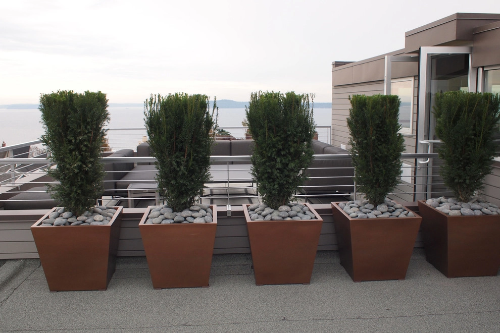 Recent Projects - Contemporary Seattle Residence by Folia Horticultural + Design - Photo 20