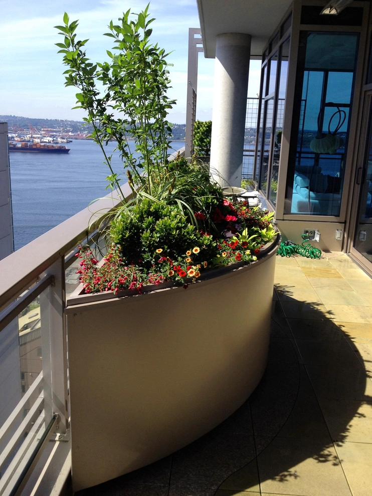 Recent Projects - Seattle Penthouse Deck by Folia Horticultural + Design - Photo 4
